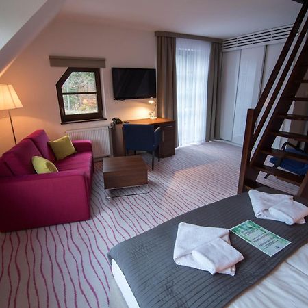Aparthotel Flinski Sport & Spa Świeradów-Zdrój Kamer foto