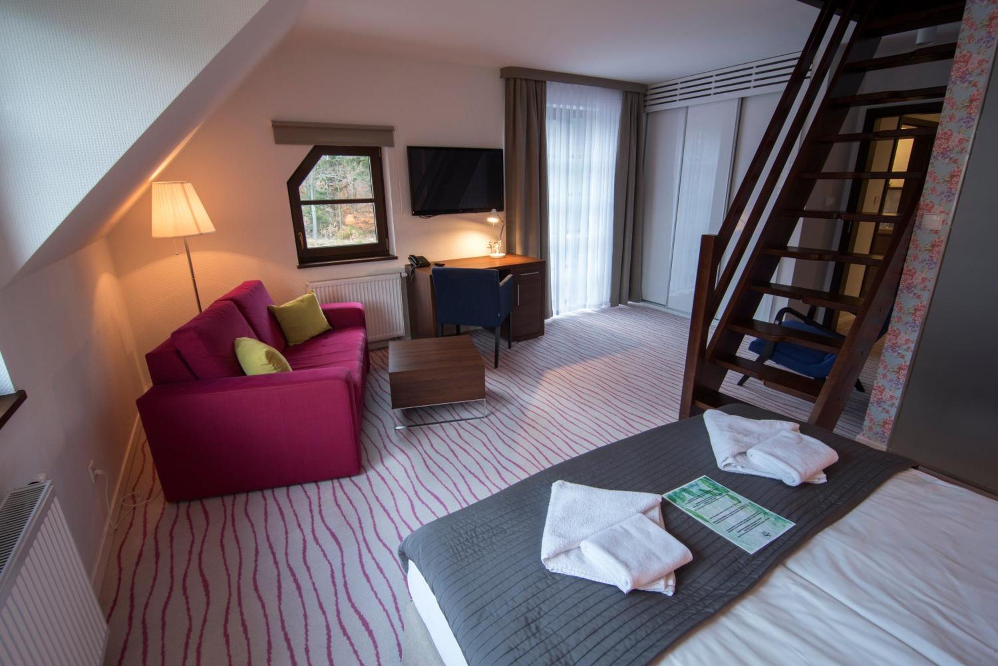 Aparthotel Flinski Sport & Spa Świeradów-Zdrój Kamer foto